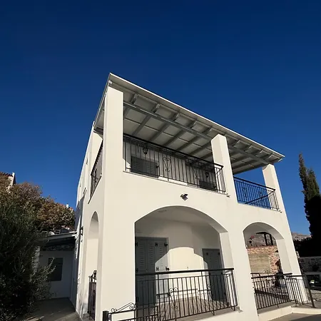 Three Olive Homes *