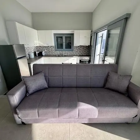 Three Olive Homes *